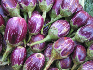 eggplant johl bengali recipe